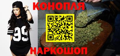 шишки Сланцы