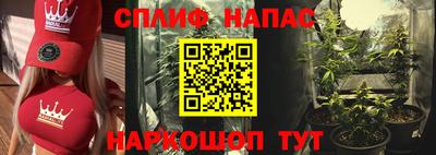 шишки Сланцы